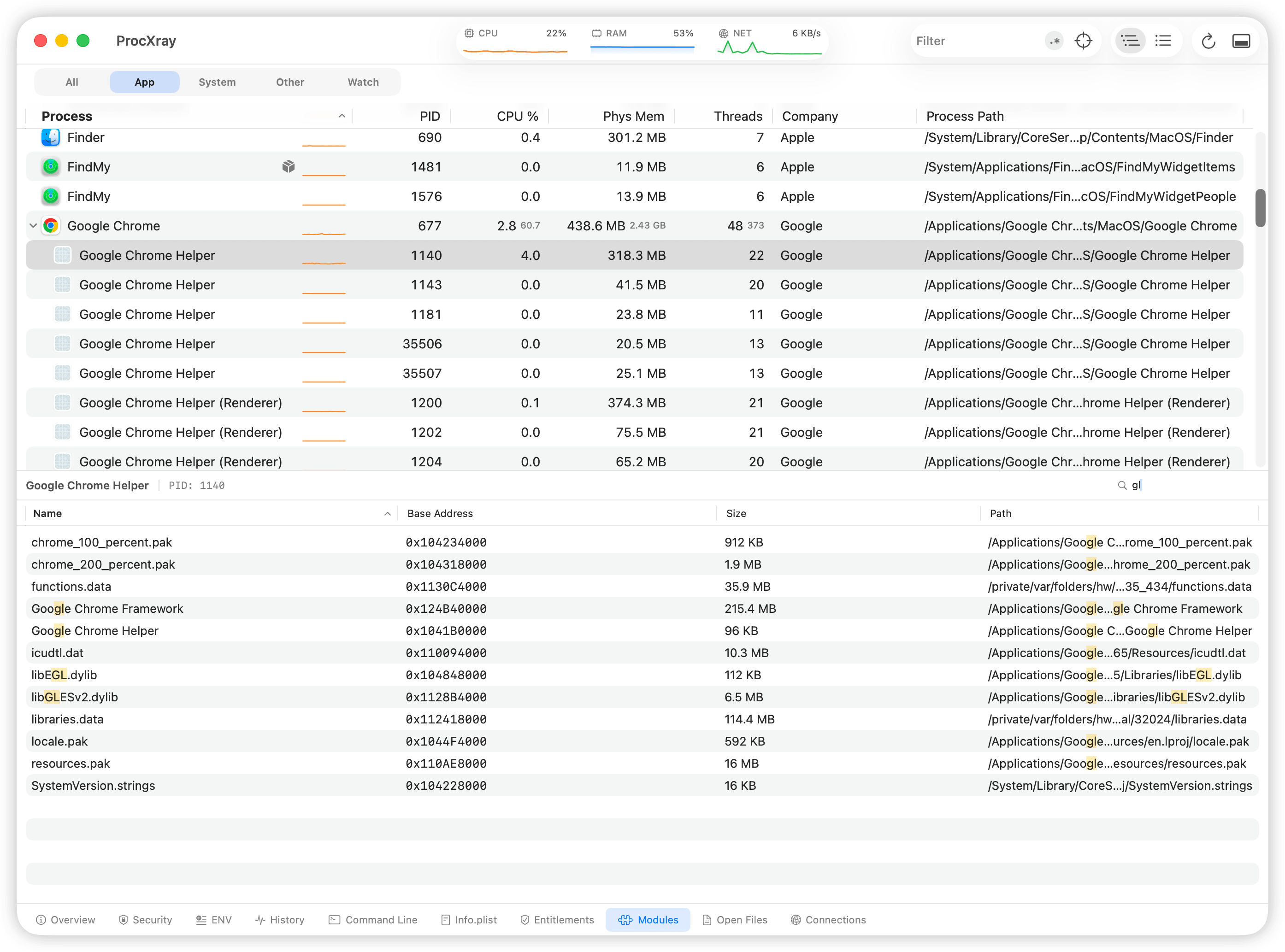 ProcXray Modules-Tab mit geladenen Bibliotheken eines Prozesses und Suchfilterung